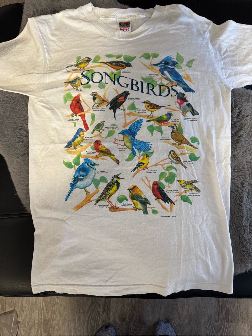 Vintage 1995 Printed Image Songbirds Graphic T-Shirt White Large Single Stitch